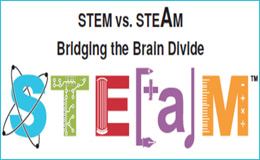 Фанкластик на форуме «STEM vs STEAM»
